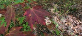 Enlarge photo 213