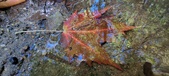 Enlarge photo 216
