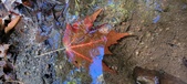 Enlarge photo 222