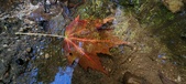 Enlarge photo 220