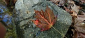 Enlarge photo 219