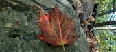 Enlarge photo 226