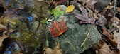 Enlarge photo 230