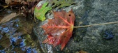 Enlarge photo 233