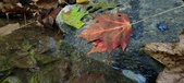Enlarge photo 235