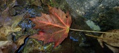 Enlarge photo 236