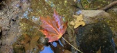Enlarge photo 247