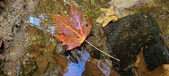 Enlarge photo 248