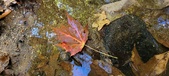 Enlarge photo 249