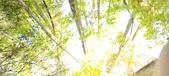 Enlarge photo 250