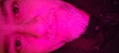Enlarge photo 234