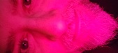 Enlarge photo 233