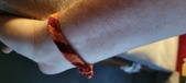 Enlarge photo 308