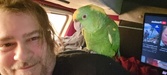 Enlarge photo 5