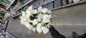 Enlarge photo 33