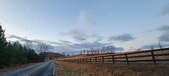 Enlarge photo 81