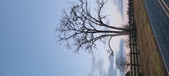 Enlarge photo 89