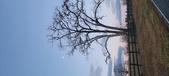 Enlarge photo 90