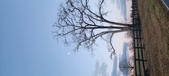 Enlarge photo 91