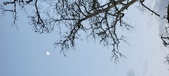 Enlarge photo 92