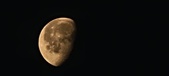 Enlarge photo 100