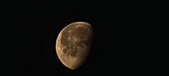 Enlarge photo 99