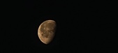Enlarge photo 98