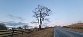 Enlarge photo 102