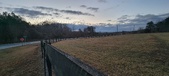 Enlarge photo 103