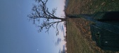 Enlarge photo 105