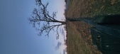 Enlarge photo 106