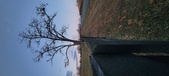Enlarge photo 107