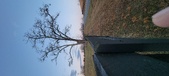 Enlarge photo 108