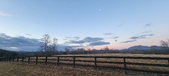 Enlarge photo 110