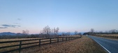 Enlarge photo 116