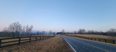 Enlarge photo 115