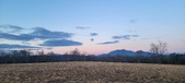 Enlarge photo 113
