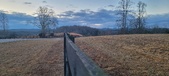 Enlarge photo 119