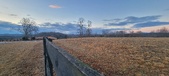 Enlarge photo 121