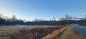 Enlarge photo 135