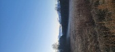 Enlarge photo 137