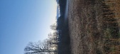 Enlarge photo 142