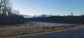 Enlarge photo 145