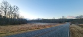 Enlarge photo 150