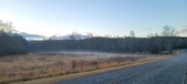 Enlarge photo 157