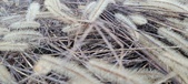 Enlarge photo 162