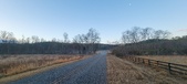Enlarge photo 175