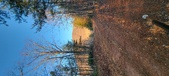 Enlarge photo 328
