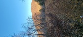 Enlarge photo 330