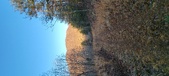 Enlarge photo 331